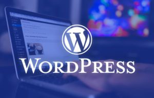 WordPress Is the Best CMS for SEO: 5 Rationales