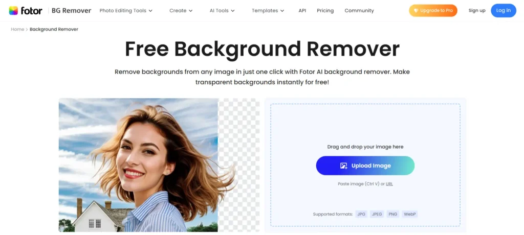 Fotor AI background remover