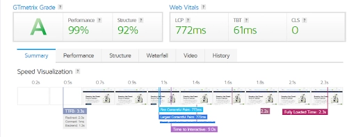 Website Speed Snap-2