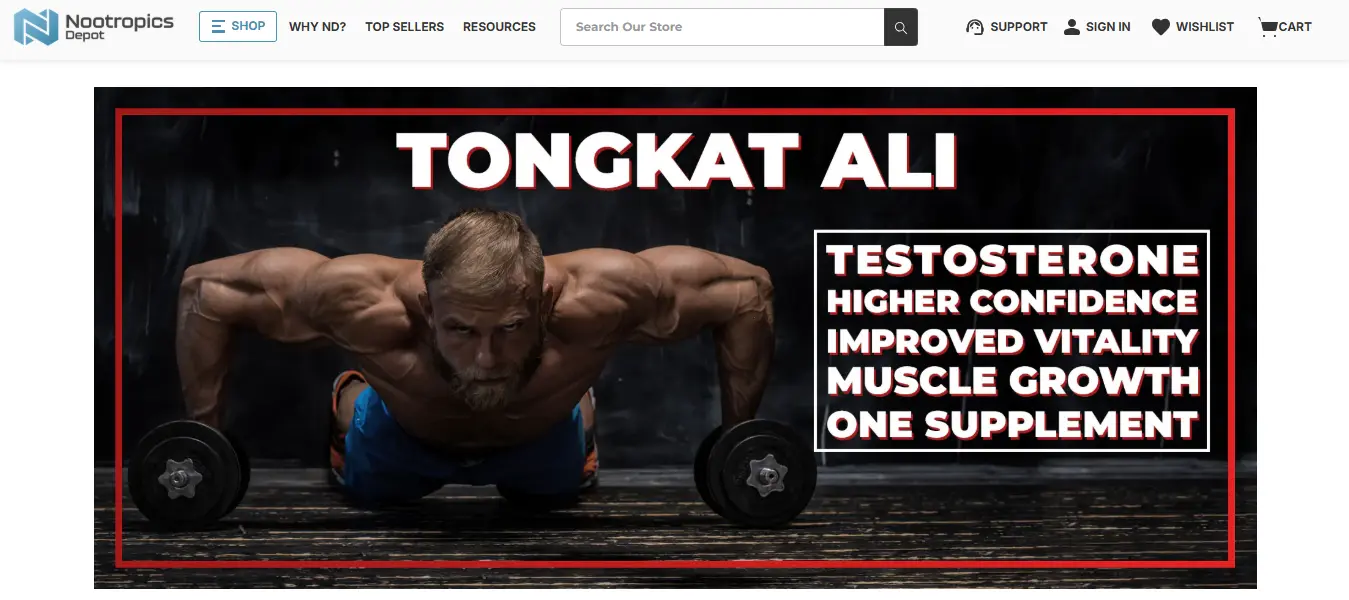 06 Google Ads Automation - Nootropics Depot