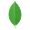 MongoDB