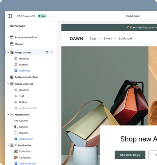 Shopify Websites